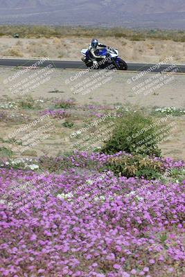 media/Feb-04-2023-SoCal Trackdays (Sat) [[8a776bf2c3]]/Turn 15 Inside Blooming (1050am)/